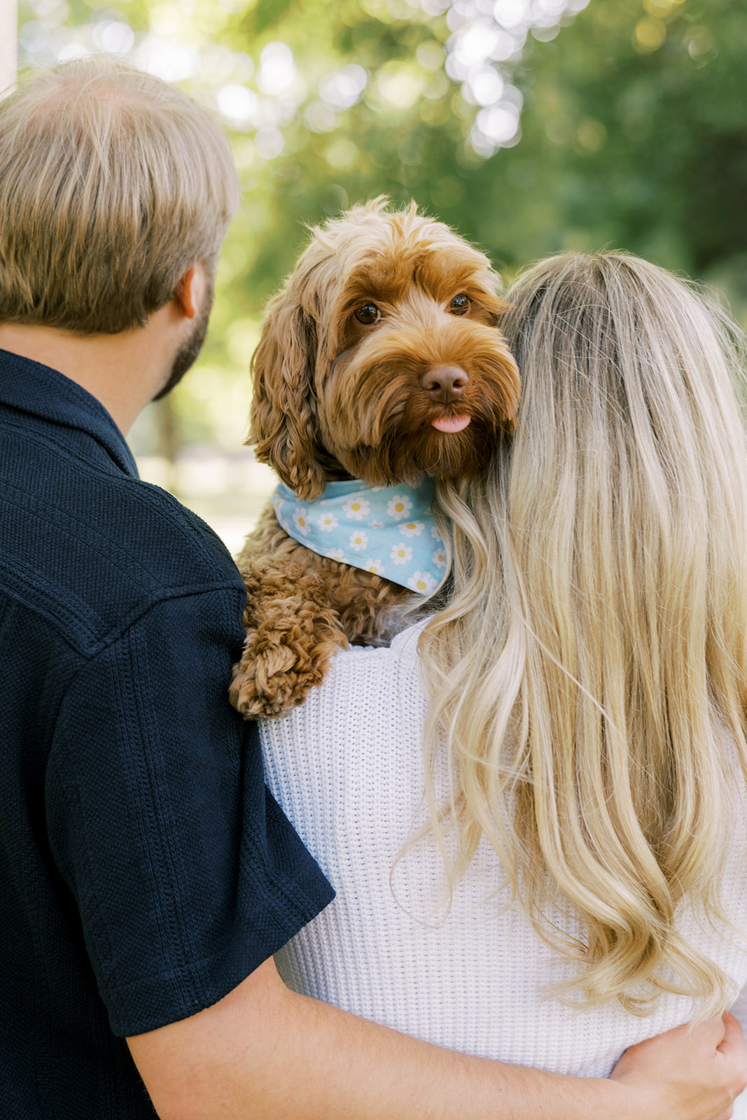 Golden Doodle Mable joined her parents for their engagement photos in Lincoln Park